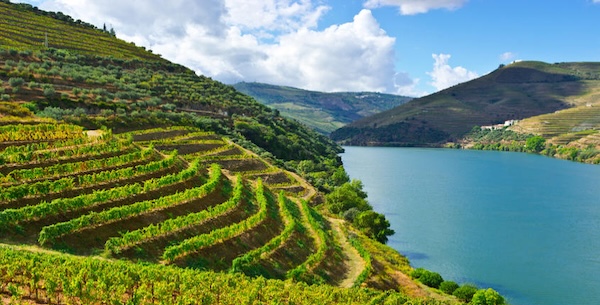 Vins du Douro